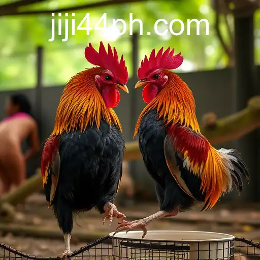 JLJL44 Login: Navigating the Landscape of Online Sabong